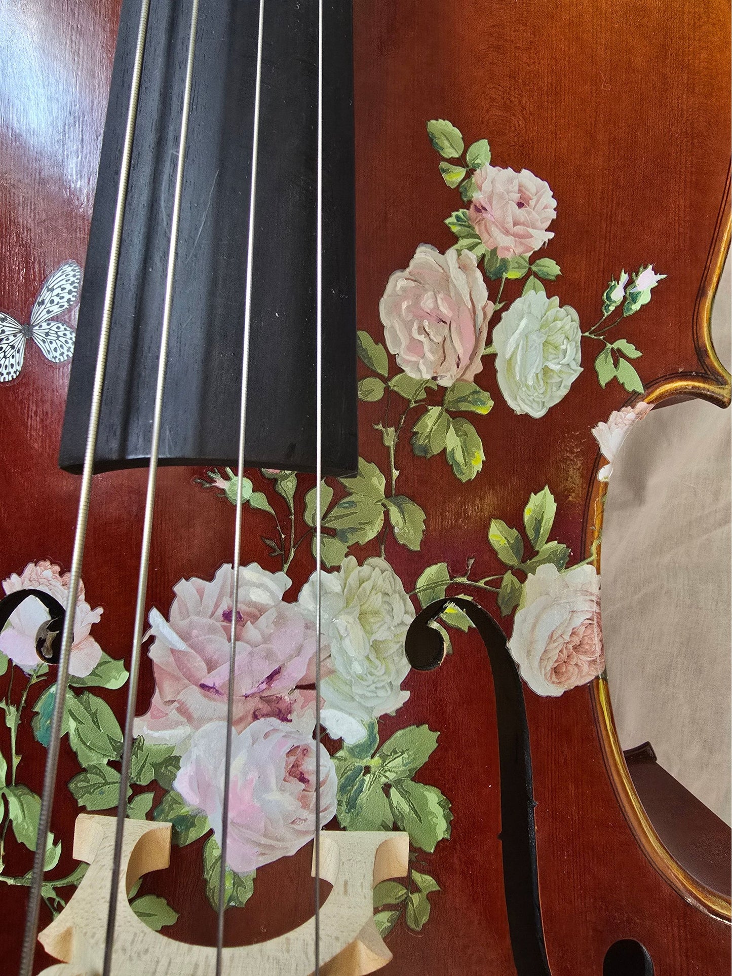 Rose Delight Cello Outfit - Rozanna's Violins