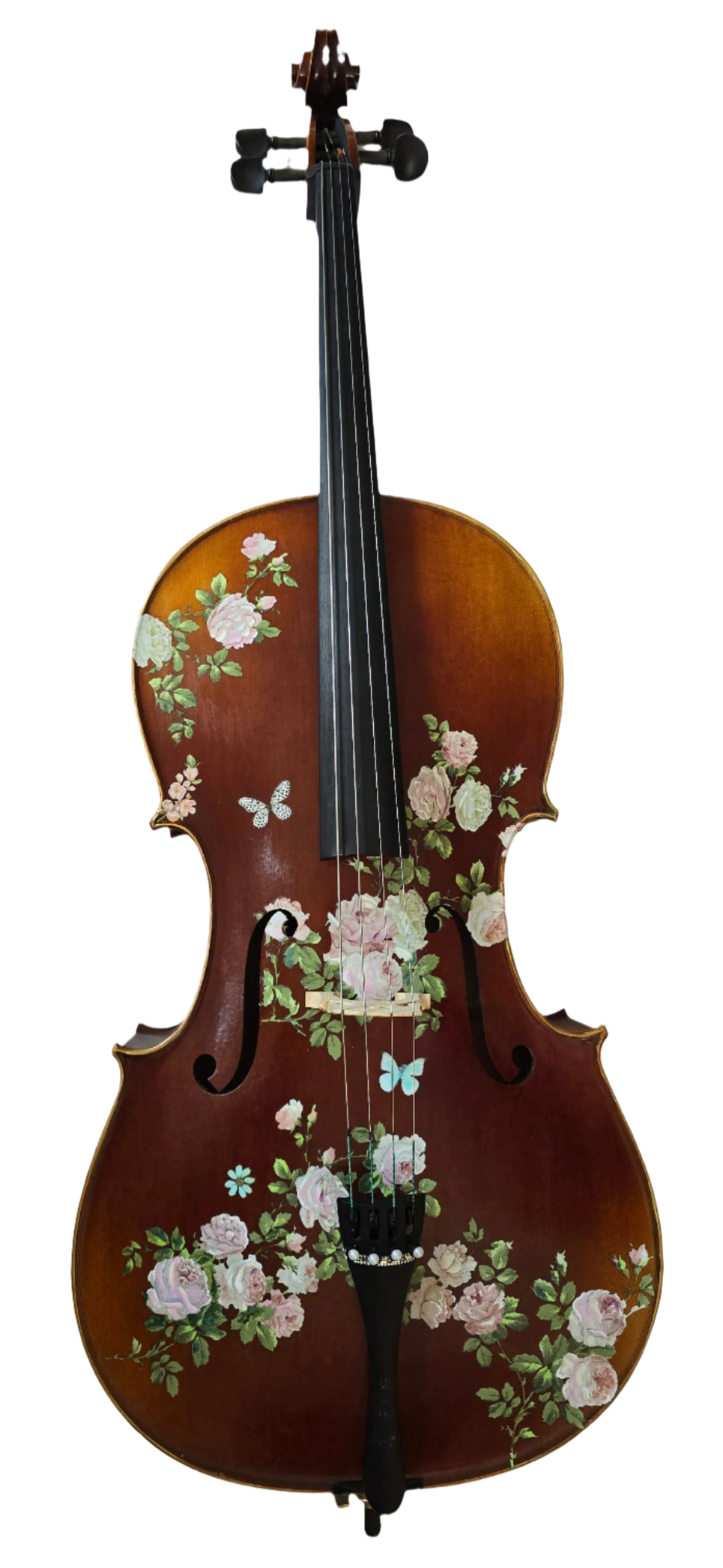 Rose Delight Cello Outfit - Rozanna's Violins