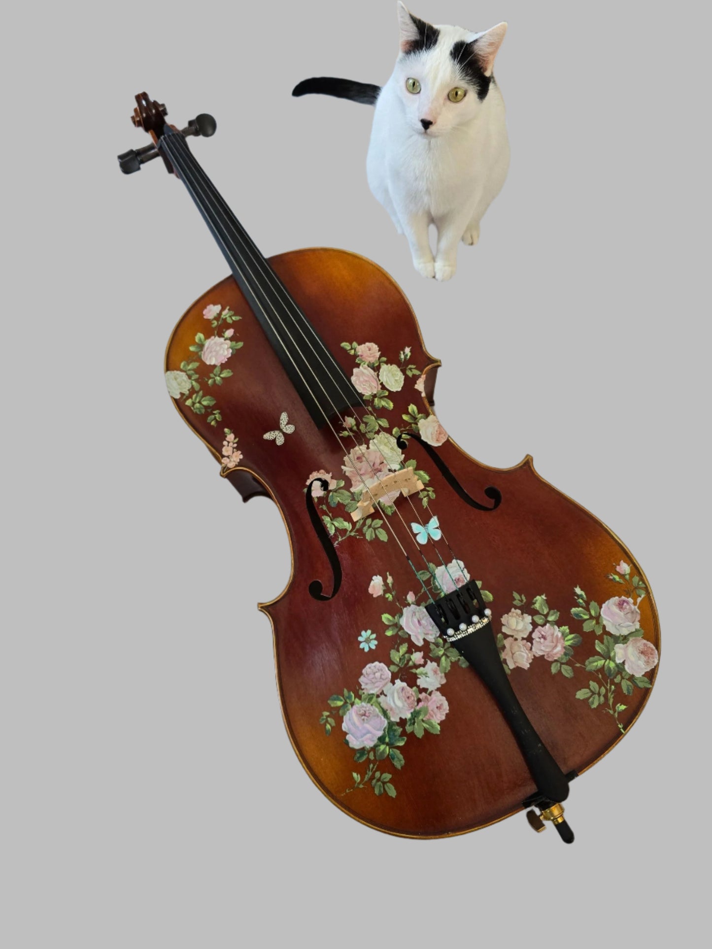 Rose Delight Cello Outfit - Rozanna's Violins