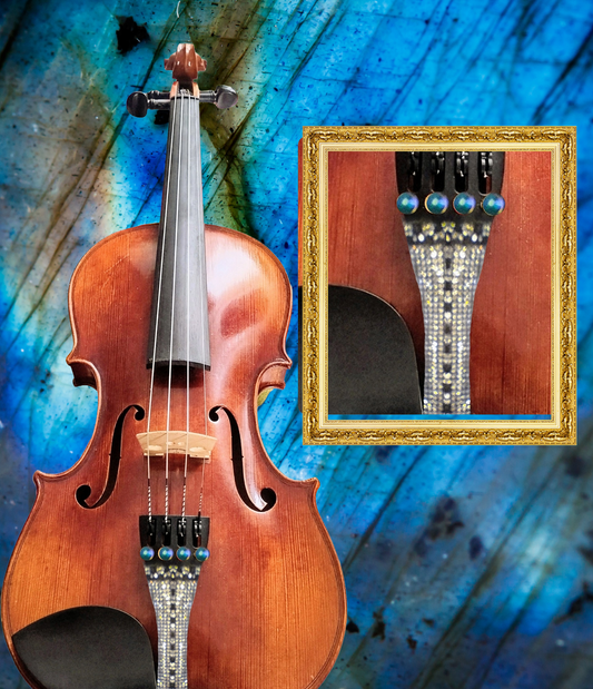 Lumina Artist Violin Outfit (Tuxedo II) - Rozanna's Violins