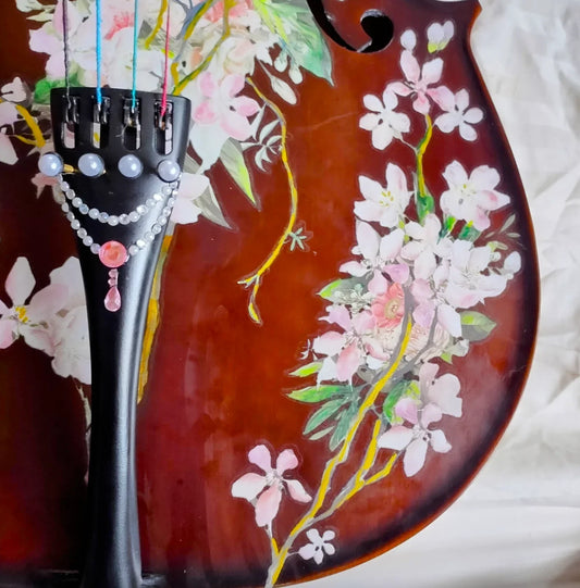 Screenshot2024-04-24at2.30.09PM - Rozanna's Violins