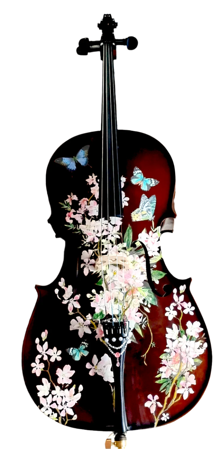 Cherry Blossom Cello - Rozanna's Violins