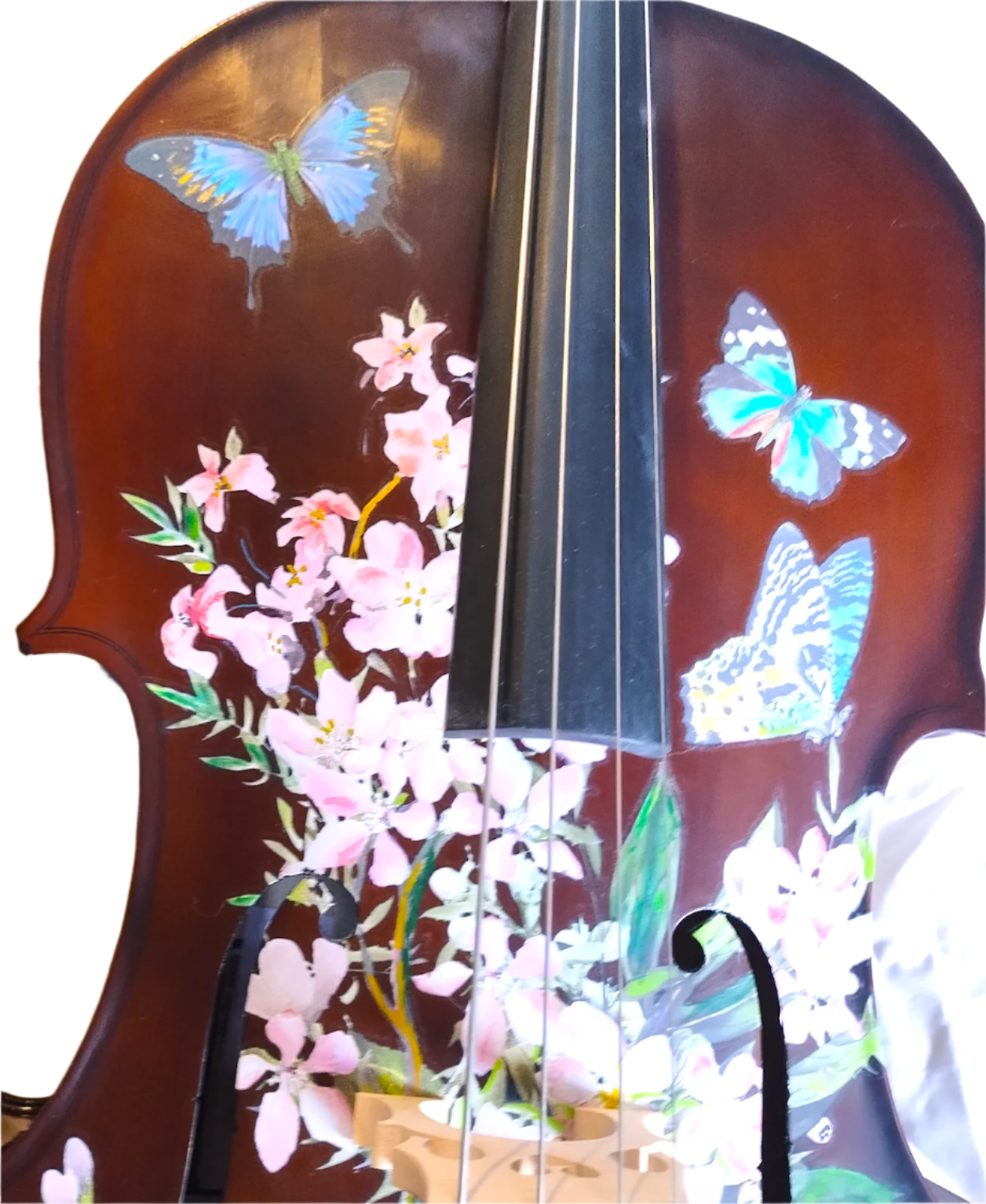 Cherry Blossom Cello - Rozanna's Violins