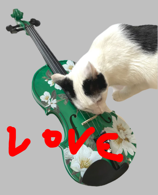 Magnolia Heaven Emerald Green Violin Outfit w/ Brazilwood Bow, Case, Crystal Fine Tuners, Rosin, Strings, Set-Up - Rozanna's Violins