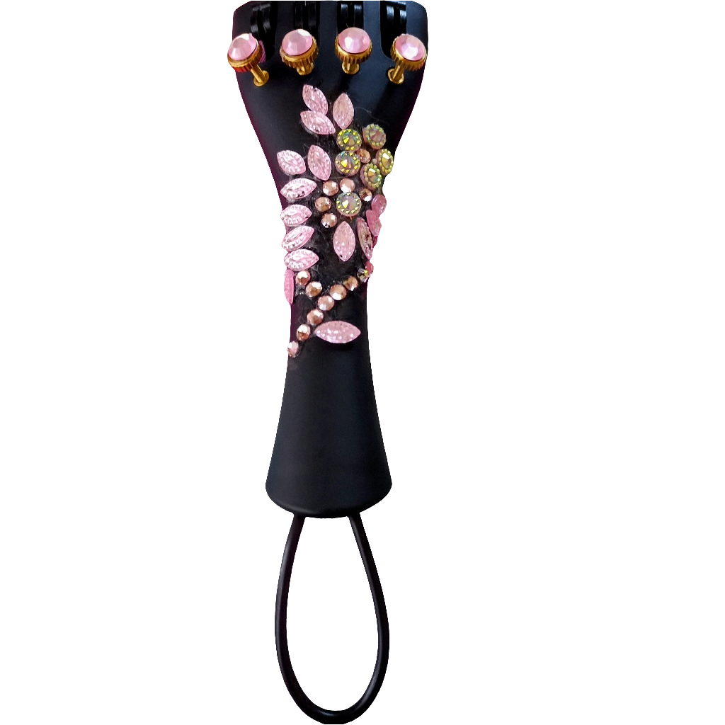 Rozanna's Lumina Artist Violin Outfit (Aria Tailpiece) - Rozanna's Violins