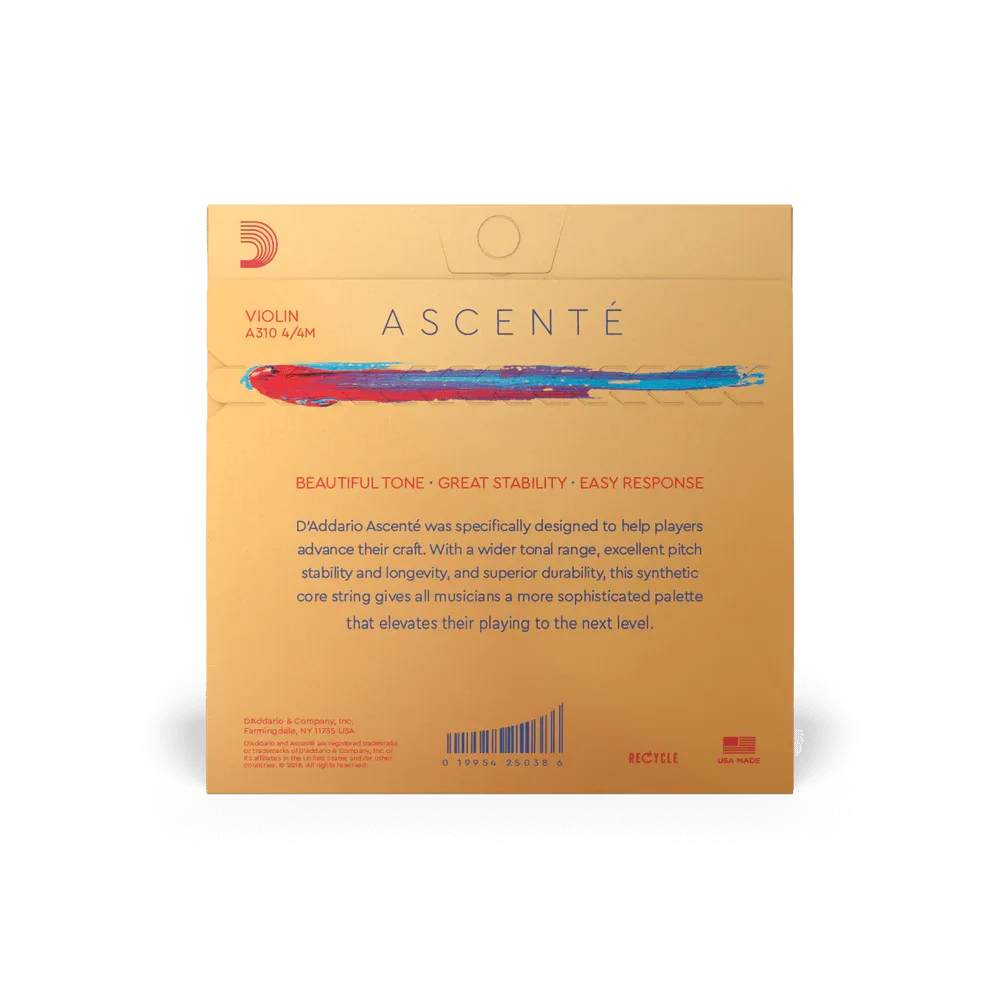 Violin - Ascente Strings - Rozanna's Violins