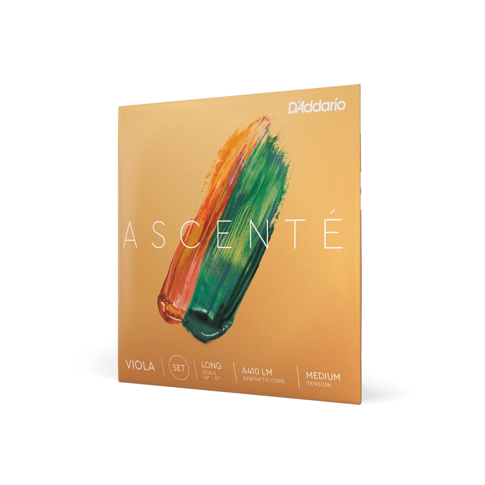 Viola - Ascente Strings - Rozanna's Violins