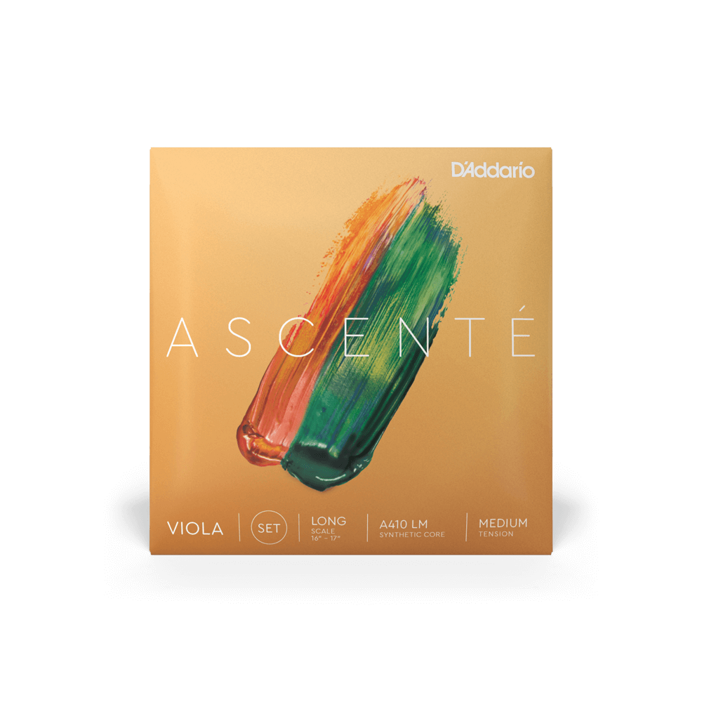 Viola - Ascente Strings - Rozanna's Violins