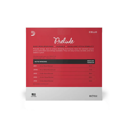 image_7 - Rozanna's Violins