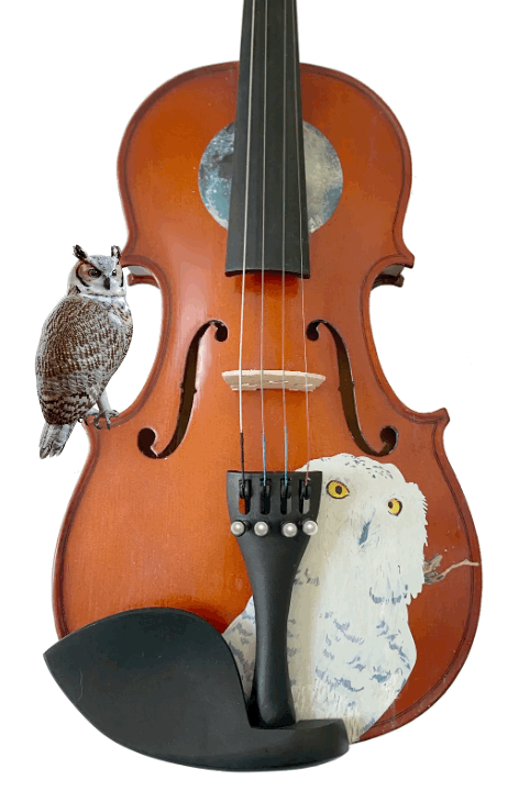 Rozanna's Violins Mystic Owl Violin Outfit - Rozanna's Violins