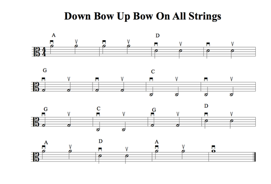 Beginner Viola Bow Stroke: Elbow Height and Arm Weight