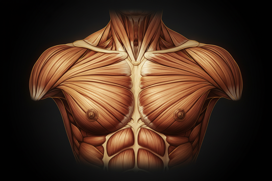 Karen Tuttle, Wilhelm Reich, and the Muscles That Shape Your Sound