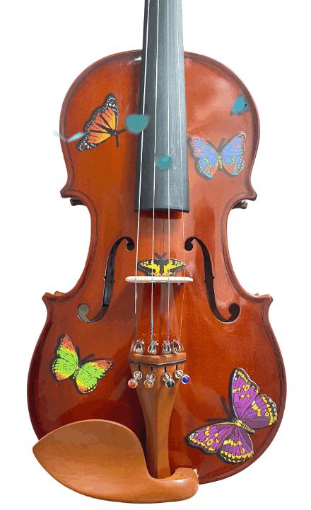 Butterfly Theme - Rozanna's Violins