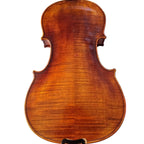 Lumina Artist Violin Outfit (Tuxedo II) - Rozanna's Violins