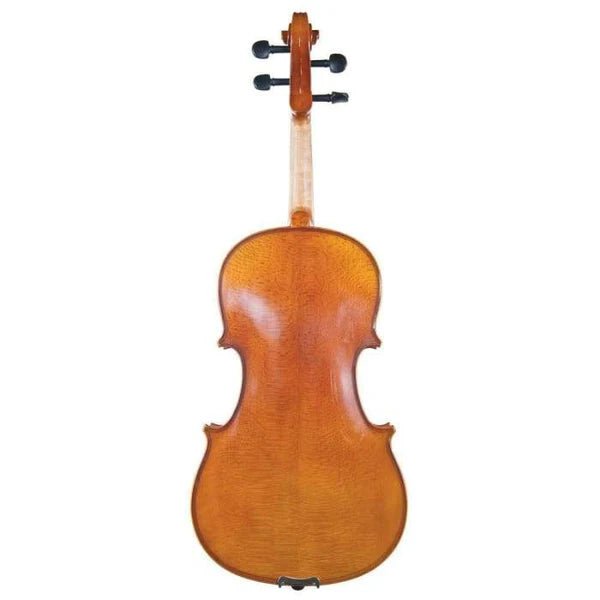 Lumina Student Viola Outfit – Rainbow - Rozanna's Violins