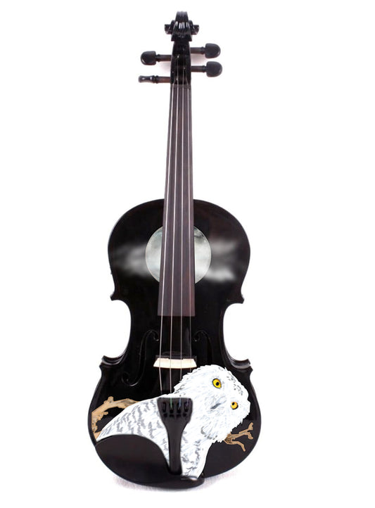 Mystic Owl Black Viola Outfit - Rozanna's Violins