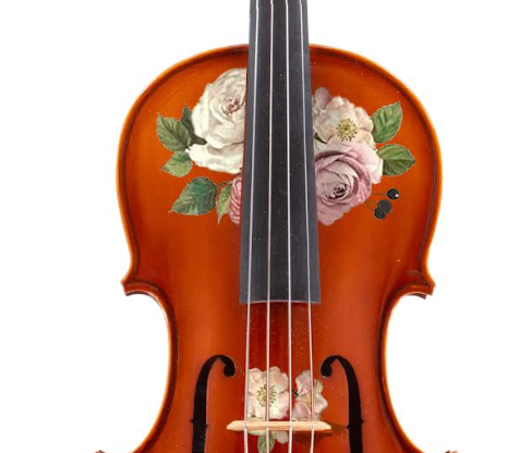 Rozanna's Rose Natural Wood Viola Outfit | Pearl Fine Tuners & Brazilwood Bow
