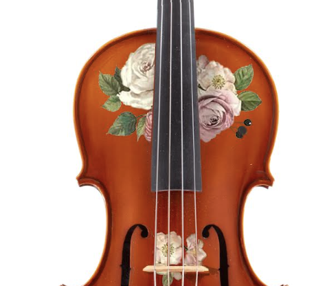 Rozanna's Rose Natural Wood Viola Outfit | Pearl Fine Tuners & Brazilwood Bow