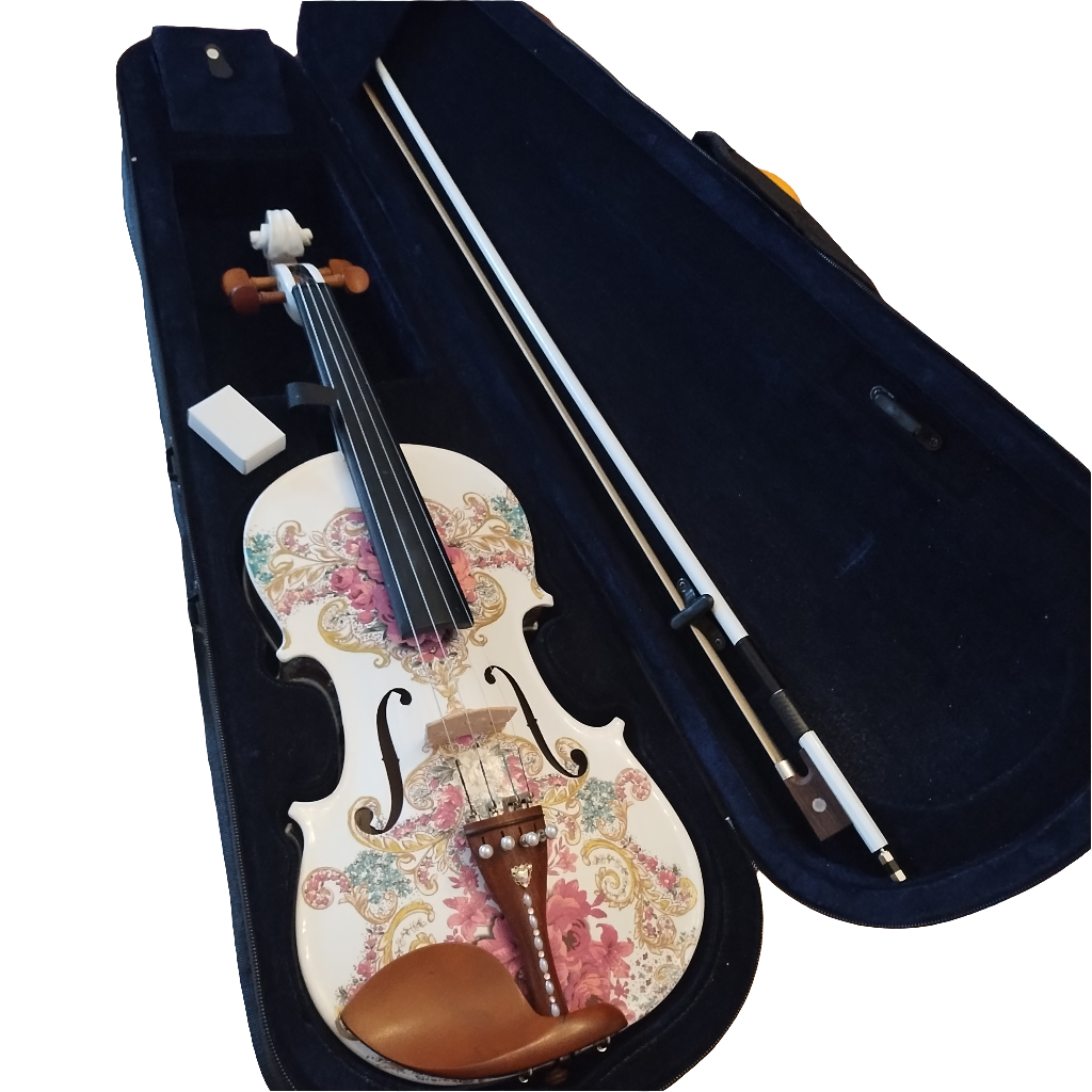 Gilded Age Violin w Matching Carbon Fiber Bow Case Crystal Fine Tuners Rosin Strings Set Up - Rozanna's Violins