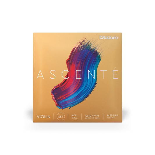 Violin - Ascente Strings - Rozanna's Violins