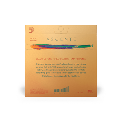 Viola - Ascente Strings - Rozanna's Violins