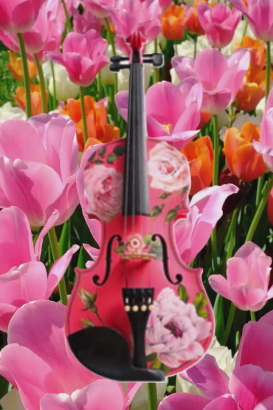 Rozanna's Rose Delight Pink Violin Outfit