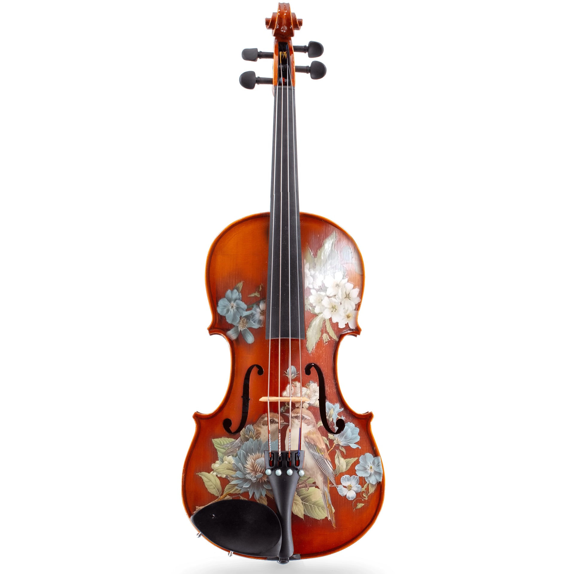 Song Bird Viola Outfit | Robin Egg Blue Pearl Tuners & Brazilwood Bow - Rozanna's Violins
