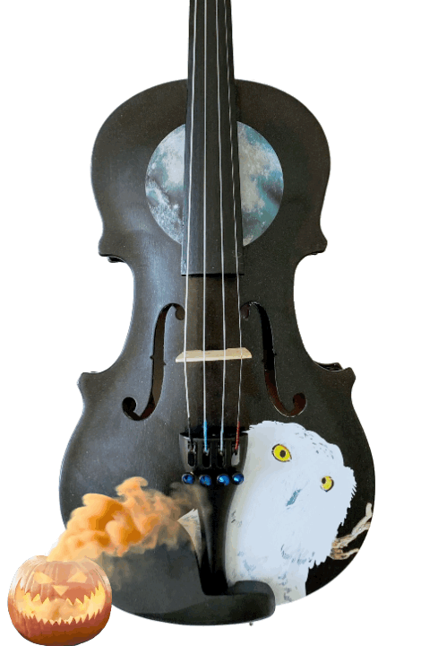 9678DA78-1837-4D68-8918-42C2C4E37667-34081-00000B8D65C934BB - Rozanna's Violins