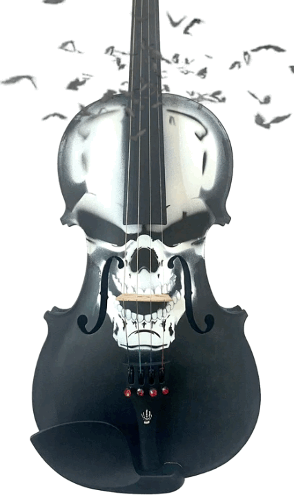 FA5E867F-1375-44C5-8FA2-4CB797AFCD65-34081-00000B837B249C3D - Rozanna's Violins