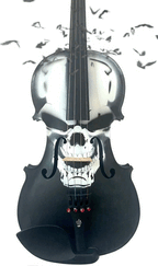 FA5E867F-1375-44C5-8FA2-4CB797AFCD65-34081-00000B837B249C3D - Rozanna's Violins