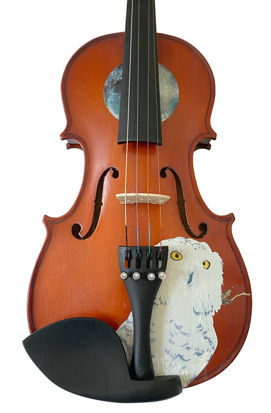Rozanna's Violins Mystic Owl  Violin Outfit - Rozanna's Violins