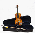 Butterfly Dream II Violin | Ornate Greco Sides & Brazilwood Bow - Rozanna's Violins