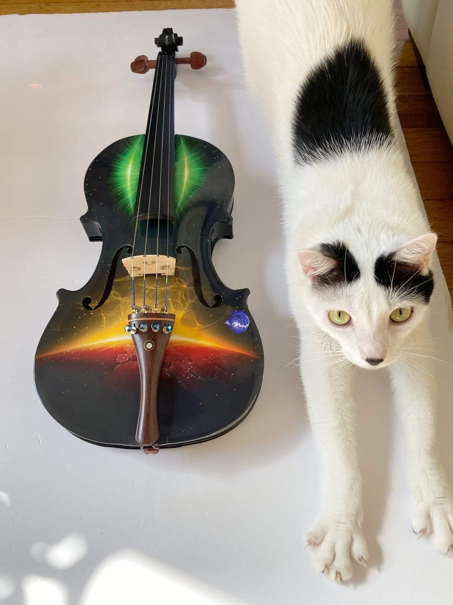 rozanna-s-violins-rozanna-s-galaxy-ride-deluxe-violin-outfit-black-violin-galaxy-ride-ii-sold-w-star-wars-music-musiciansfriend-28016640458841 - Rozanna's Violins